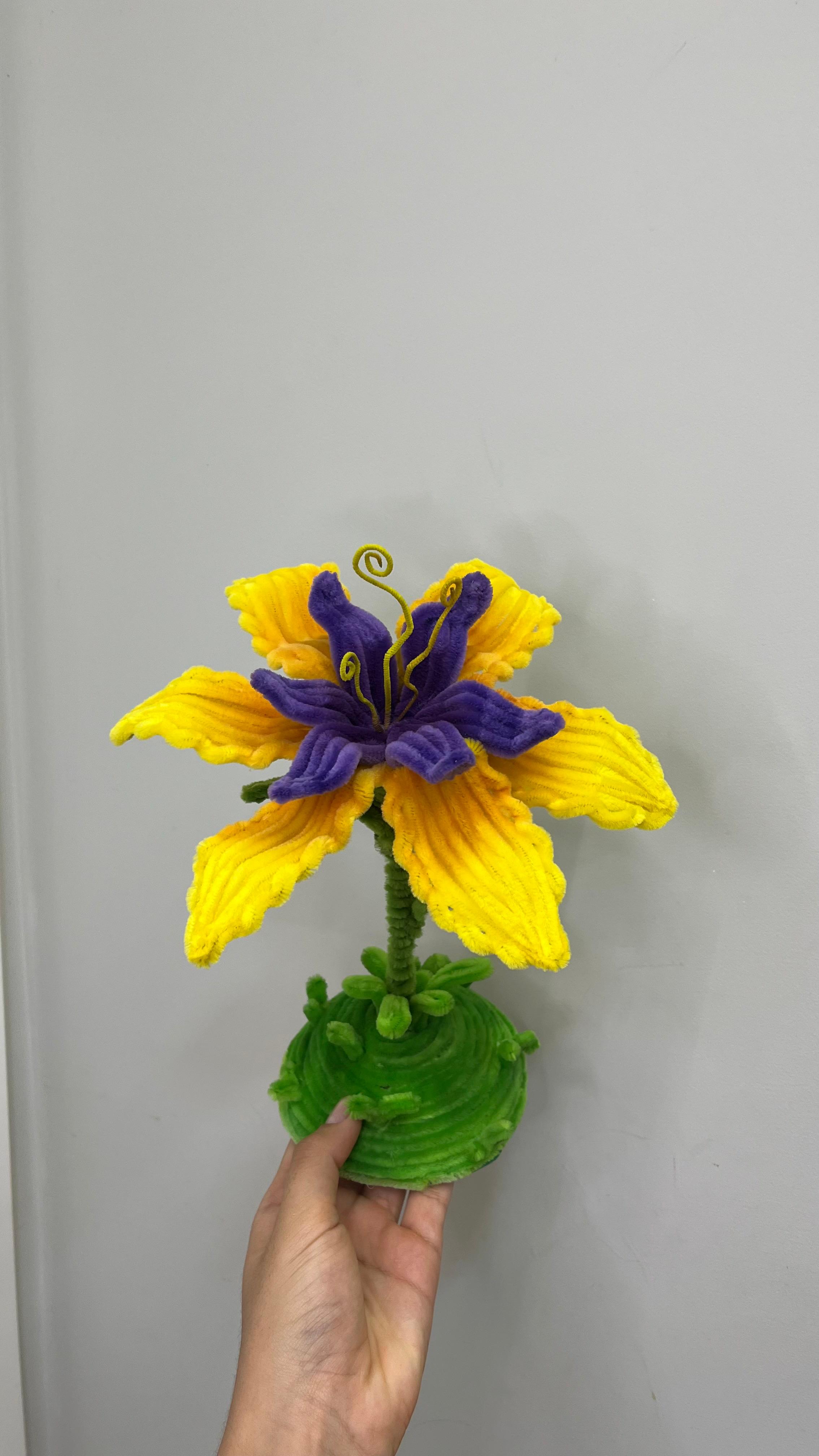 Lírio Rapunzel PipeFlorYou